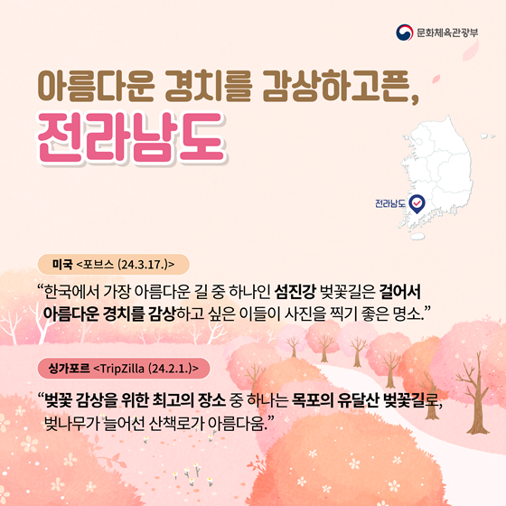 봄바람 휘날리며~ 외신이 강추하는 한국의 벚꽃 맛집