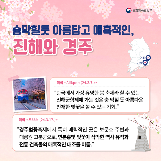 봄바람 휘날리며~ 외신이 강추하는 한국의 벚꽃 맛집