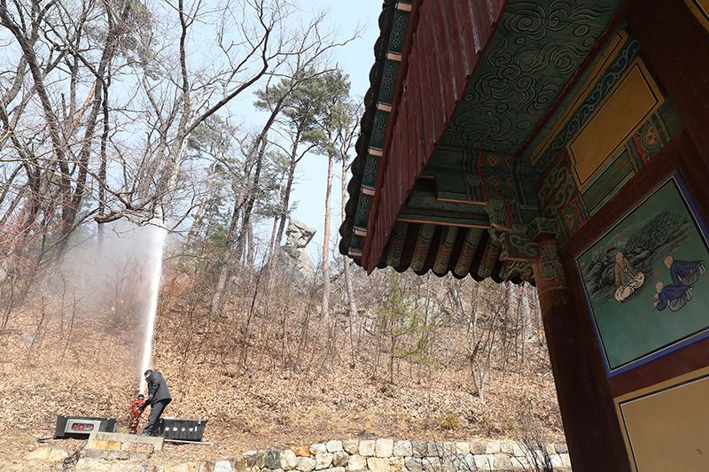 경북 울진군 서면 하원리 불영사에서 사찰 관계자가 화재 예방을 위해 사찰 주변 나무 등에 물을 뿌리고 있다. (ⓒ뉴스1, 무단 전재-재배포 금지)