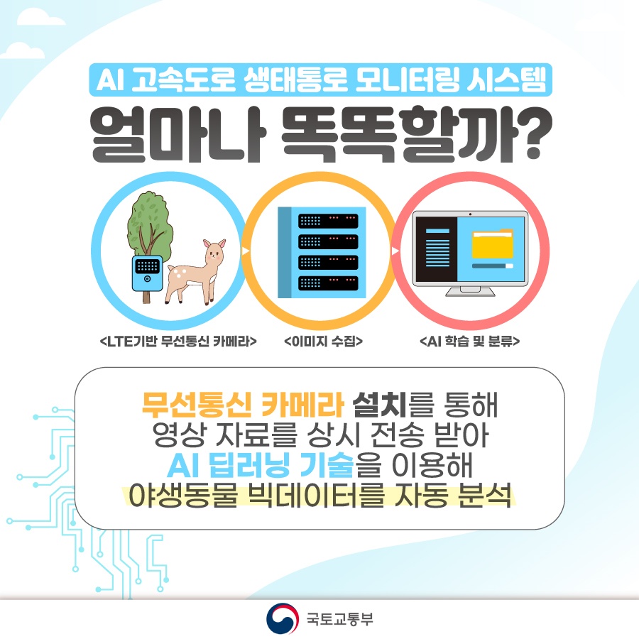 고속도로 위 동물찻길사고 AI가 예방한다고?