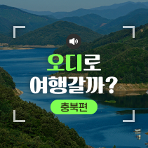 들어볼교양?