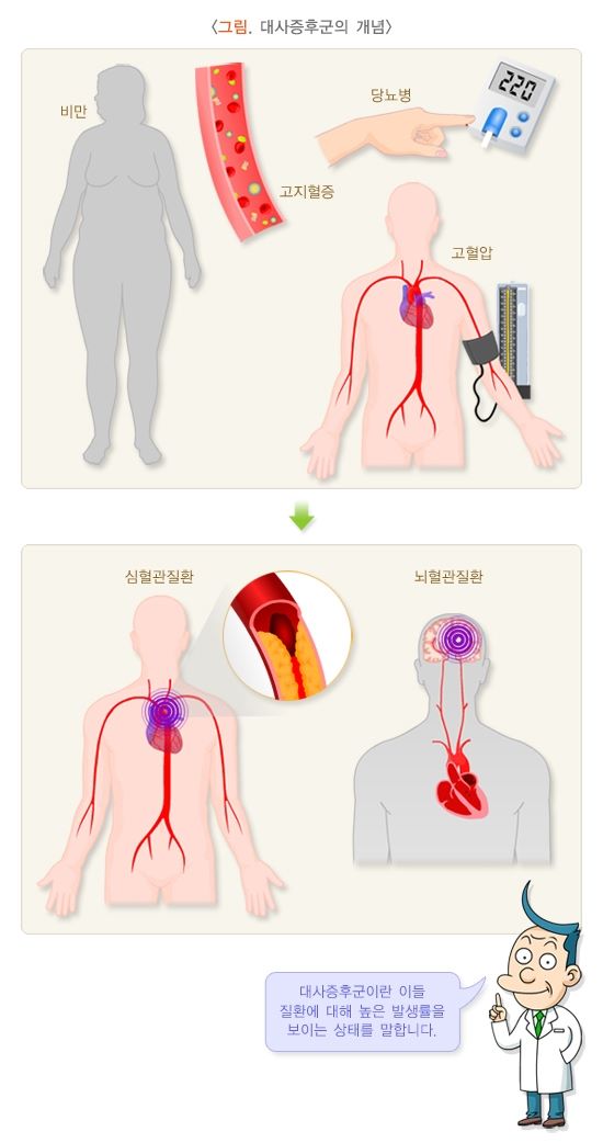 대사증후군 개념 설명.(출처=국가건강정보포털)