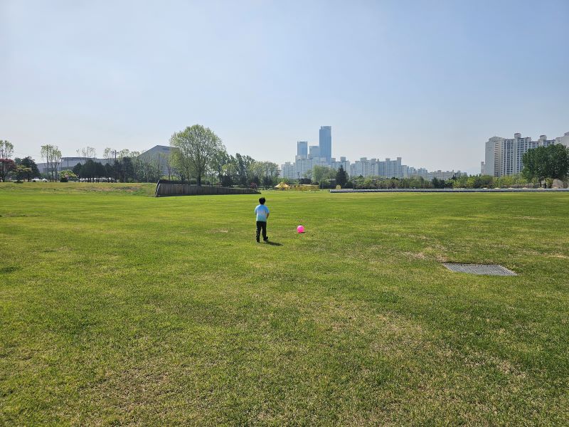 오랜만에 서울 나들이를 나온 아이는 공놀이를 하자며 공을 들고 잔디마당을 가로질렀다.