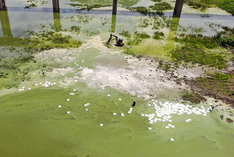 지난해 8월 강원 인제군 소양호 상류에 녹조가 발생해 수자원공사 관계자들이 제거 작업을 하고 있다. (ⓒ뉴스1, 무단 전재-재배포 금지)