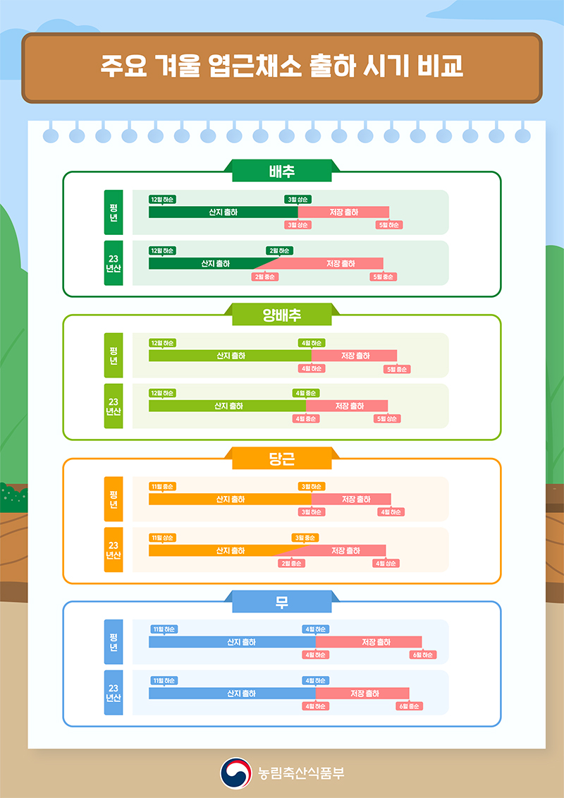 겨울 엽근채소 출하 시기 비교. (인포그래픽=농림축산식품부)