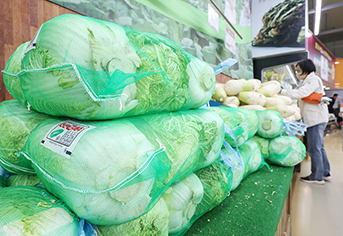 농식품부 “채소류 가격, 4월 중순 정점 찍고 하락세 전환”