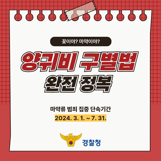 꽃이야? 마약이야? 헷갈리는 양귀비 구별법!