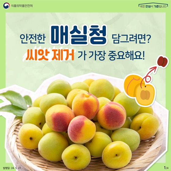매실청 안전하게 담그는 꿀팁!