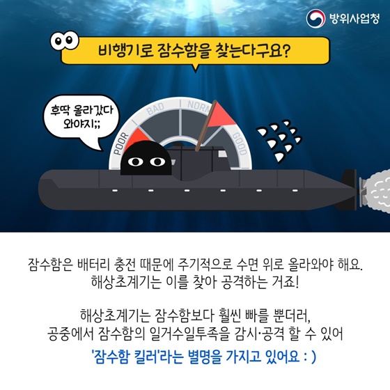 바다를 지키는 비행기가 있다?