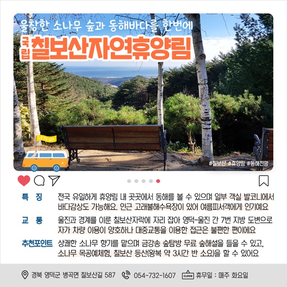 바다가 보이는 자연휴양림에서 즐기는 초록초록 초여름!