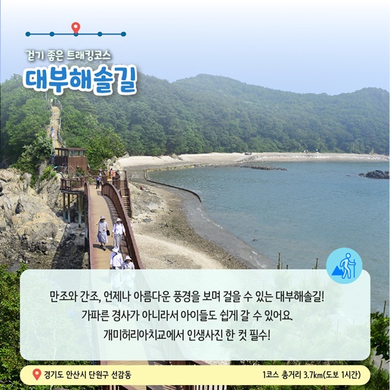 6월에 가기 좋은 어촌 안심 여행지 ② 경기 안산 종현마을