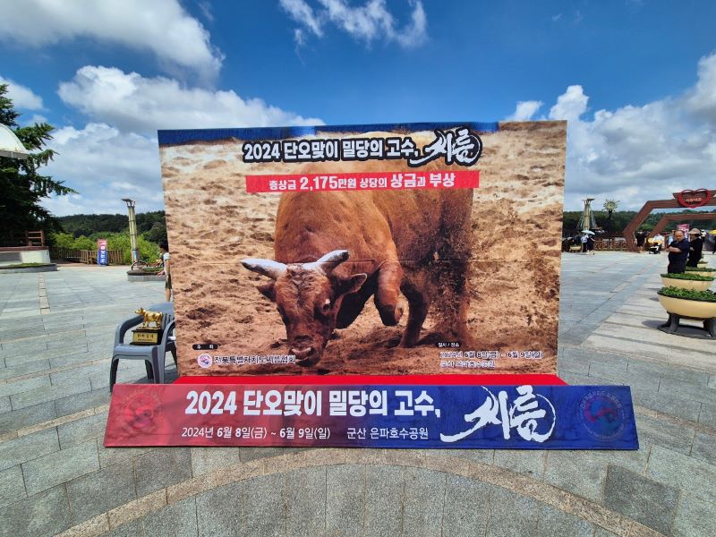 전북 군산에서 진행된 2024 단오맞이 밀당의 고수, 씨름.