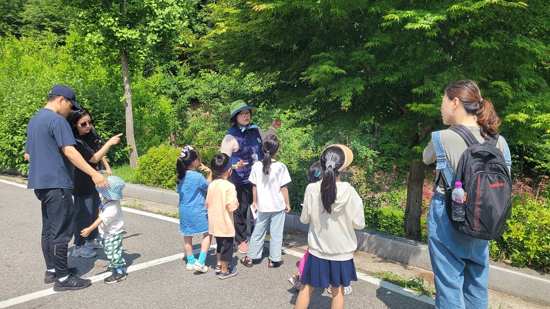무료로 진행되는 숲 해설 프로그램은 아이들에게 매우 유익한 시간이었다.