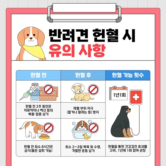 동물복지를 실천하는 반려견 헌혈