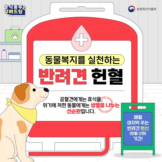 동물복지를 실천하는 반려견 헌혈 