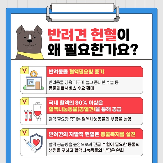 동물복지를 실천하는 반려견 헌혈