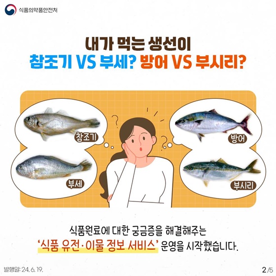내가 먹는 식품… 진짜일까? 가짜일까?