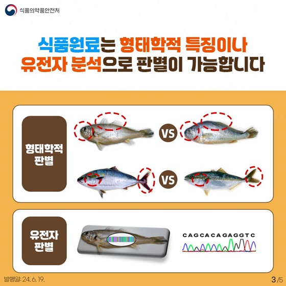 내가 먹는 식품… 진짜일까? 가짜일까?