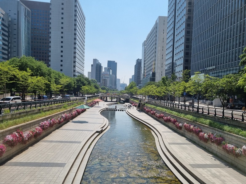 청계천 사진.