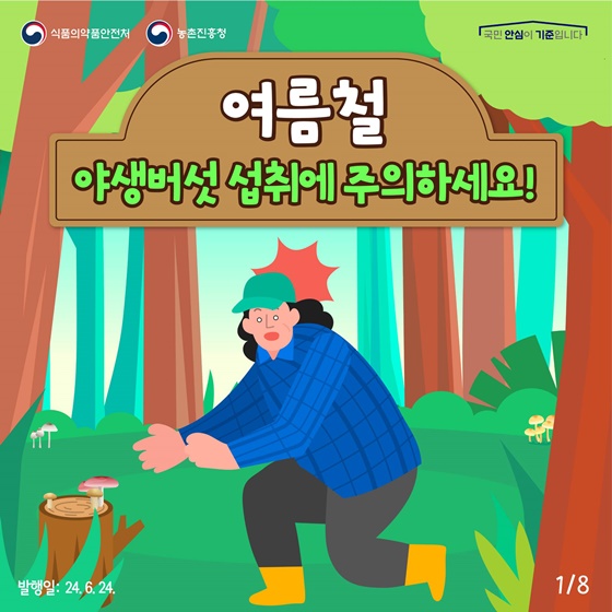 여름철, 야생버섯 섭취에 주의하세요!