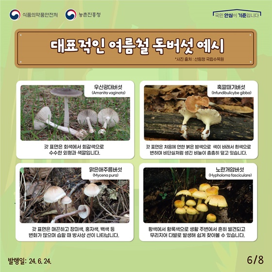 여름철, 야생버섯 섭취에 주의하세요!
