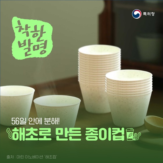 [착한발명] 56일 안에 분해되는 해초 종이컵?