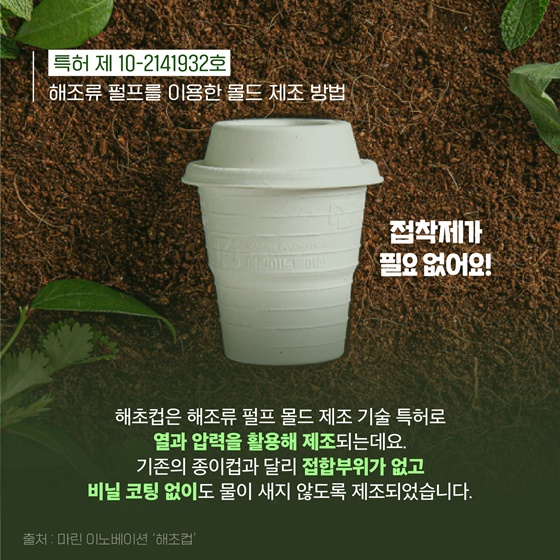 [착한발명] 56일 안에 분해되는 해초 종이컵?