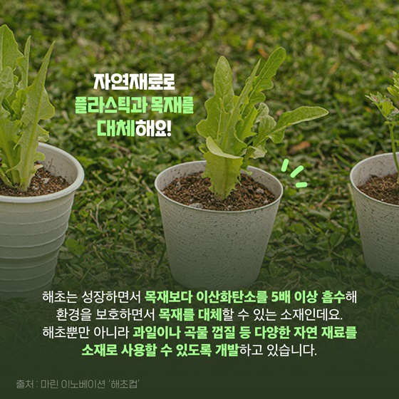 [착한발명] 56일 안에 분해되는 해초 종이컵?