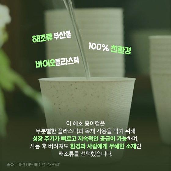 [착한발명] 56일 안에 분해되는 해초 종이컵?