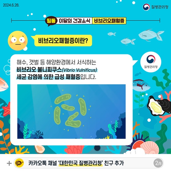여름철 해산물 섭취 등 비브리오패혈증 주의!