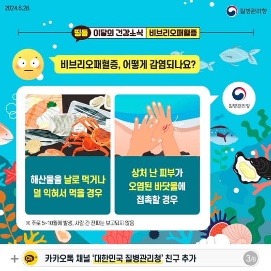 여름철 해산물 섭취 등 비브리오패혈증 주의!