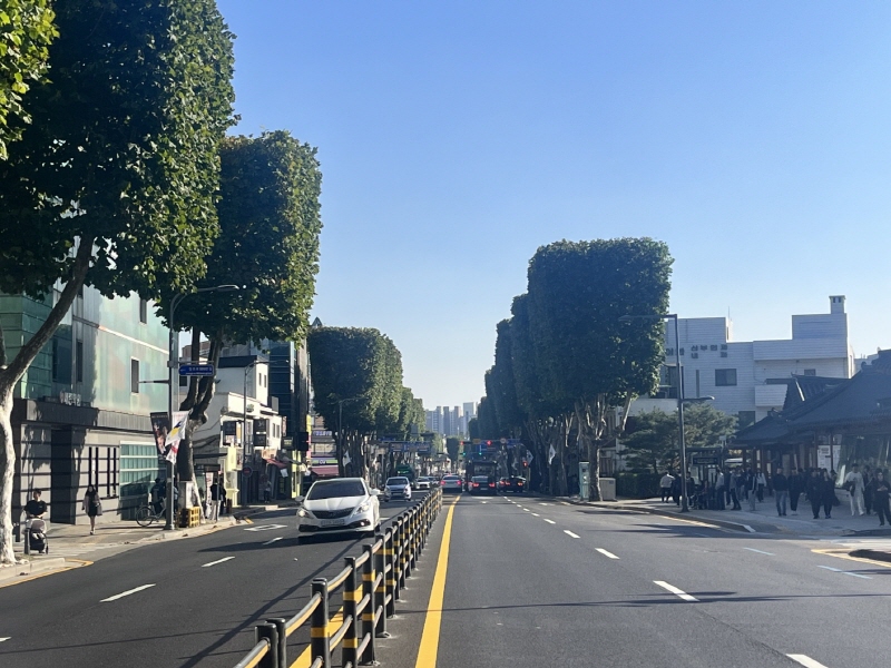 도로 가운데 설치된 중앙분리대는 차량의 주행차로를 분리하여 정면 충돌을 방지한다.