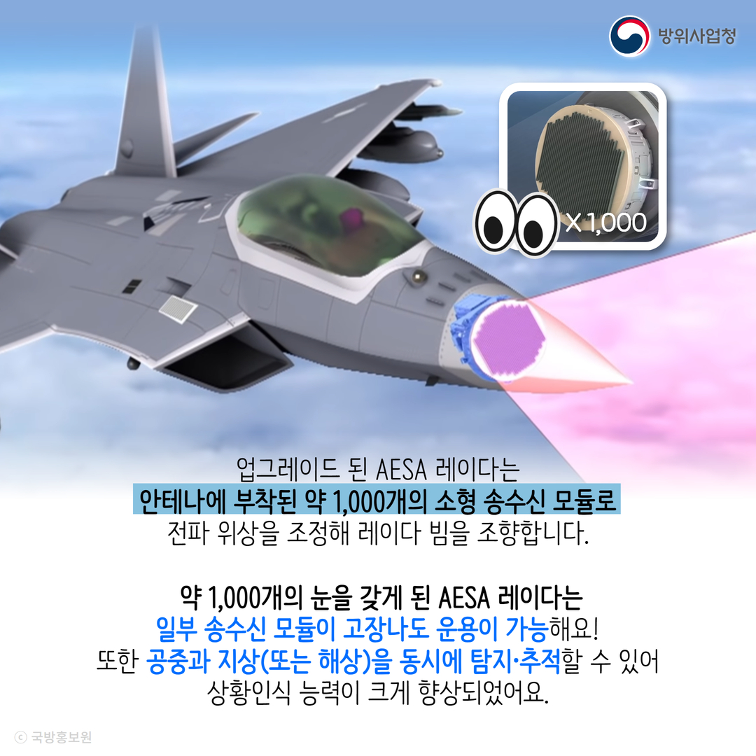 전투기의 눈은 몇 개일까?