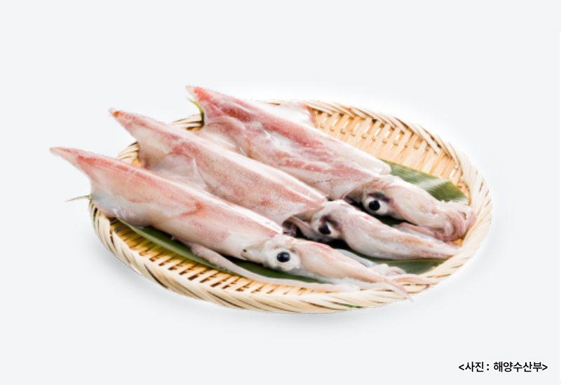 한치.