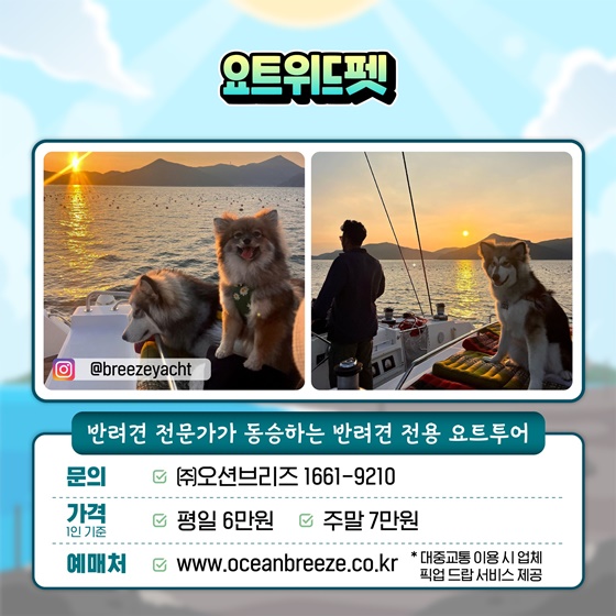 해수부 추천! 인생 해양레저 체험 5가지!