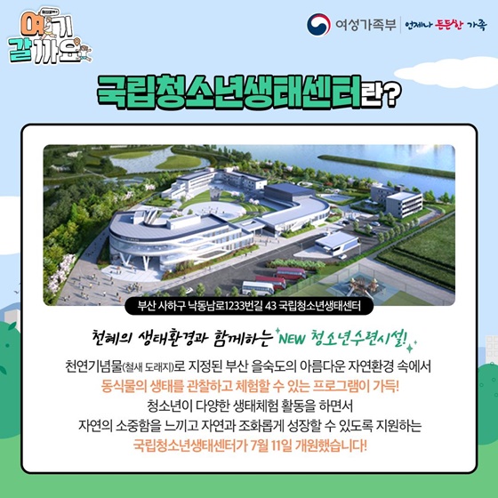 이번 여름 철새 도래지에서 생태체험 어때요?