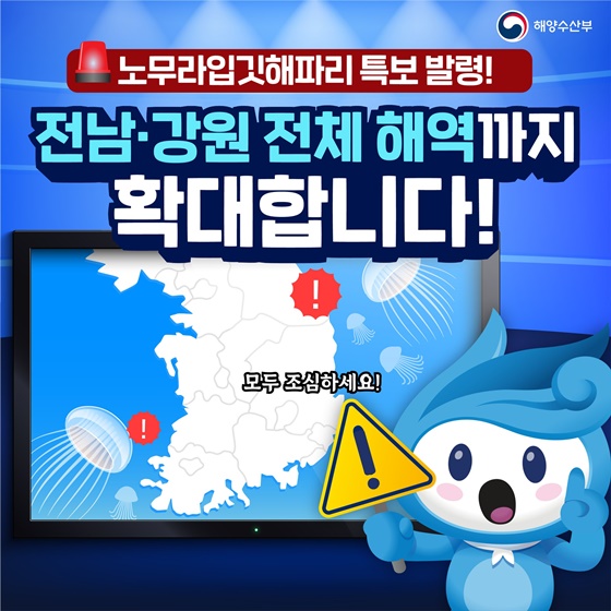 노무라입깃해파리 특보 전남·강원 전체 해역까지 확대