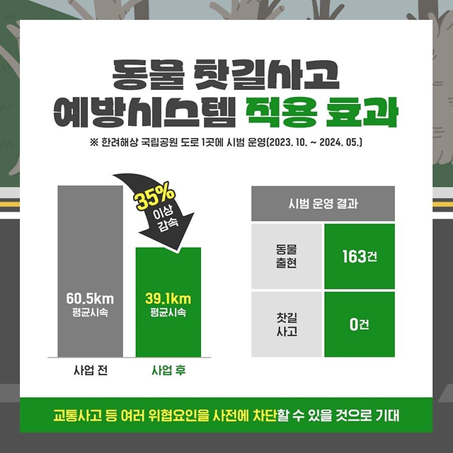 실시간 전광판으로 로드킬(동물 찻길사고) 예방해요!