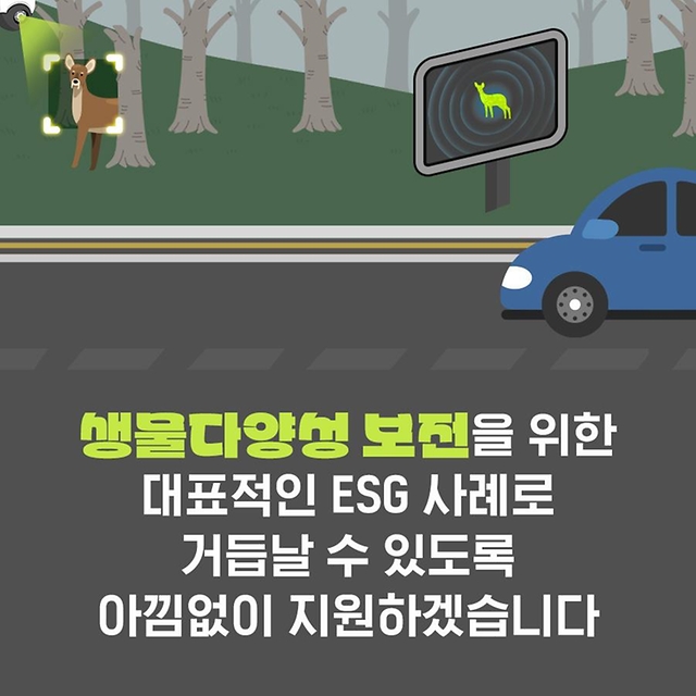 실시간 전광판으로 로드킬(동물 찻길사고) 예방해요!