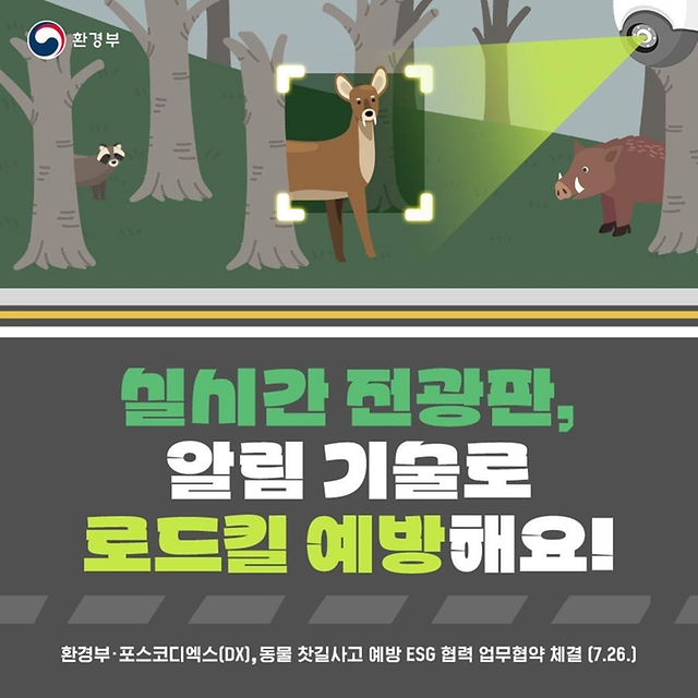 실시간 전광판으로 로드킬(동물 찻길사고) 예방해요!
