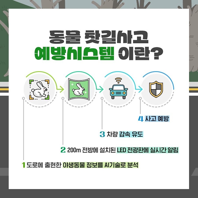 실시간 전광판으로 로드킬(동물 찻길사고) 예방해요!