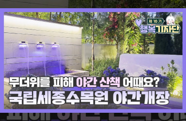 낮과 다른 매력의 국립세종수목원 야간개장