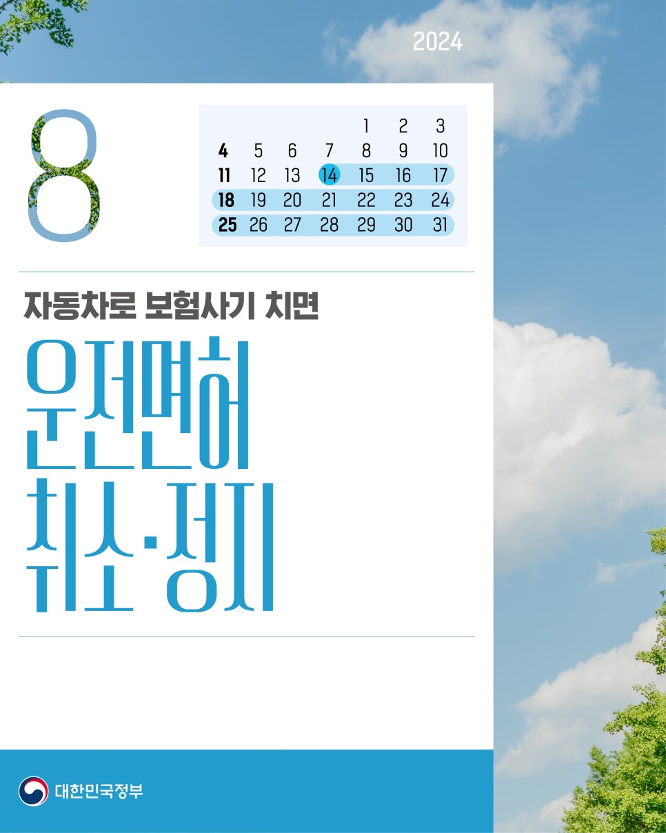 보험사기범 운전면허 취소, 정지, 벌점 자세히 보기 보험사기범 운전면허 취소, 정지, 벌점 자세히 보기