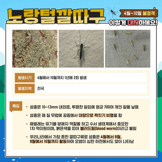 4월~10월 불청객 ‘노랑털깔따구’ 이렇게 대처하세요!