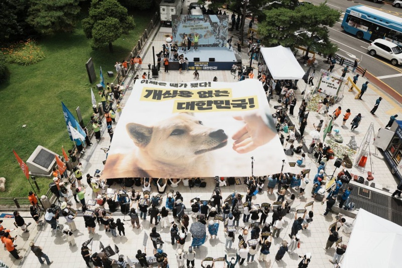 지난해 7월, 서울 종로구 인근에서 열린 '2023 개 식용 종식 촉구 국민대집회' 현장.(제공=동물자유연대)