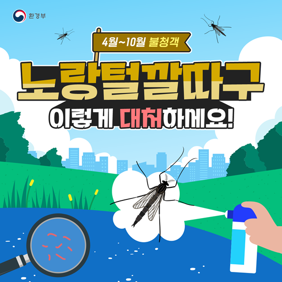 4월~10월 불청객 ‘노랑털깔따구’ 이렇게 대처하세요!