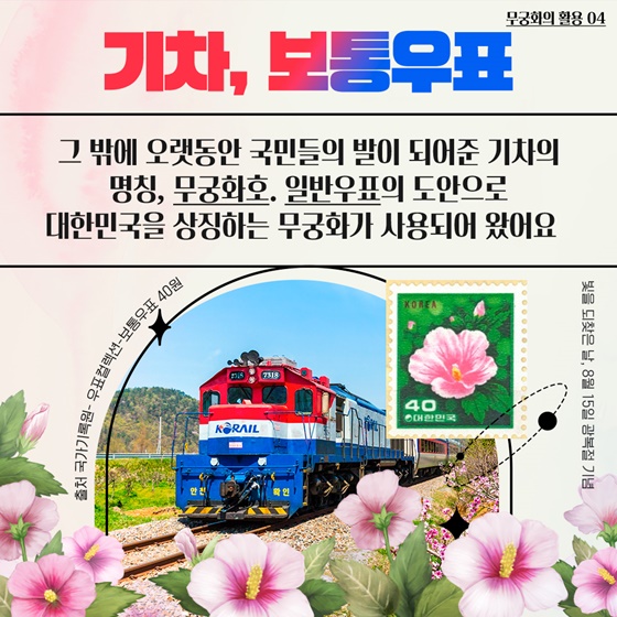 우리꽃 무궁화 어디어디 피었나?