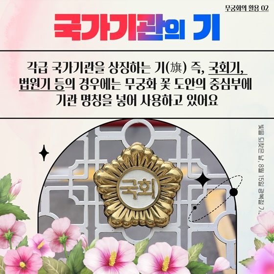 우리꽃 무궁화 어디어디 피었나?