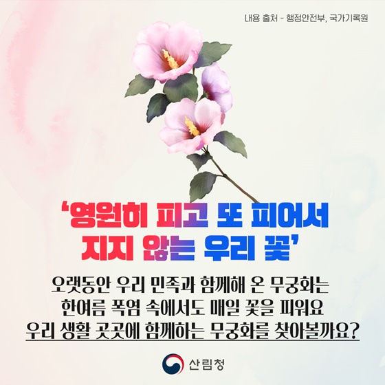 우리꽃 무궁화 어디어디 피었나?