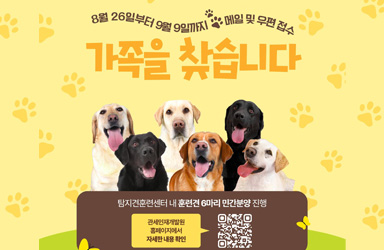 마약탐지견 훈련견 가족을 찾습니다